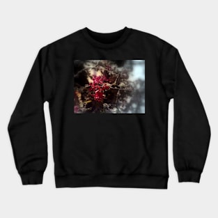 red Malus 'Radiant'  crab apple blossoms #2, focal black & white Crewneck Sweatshirt